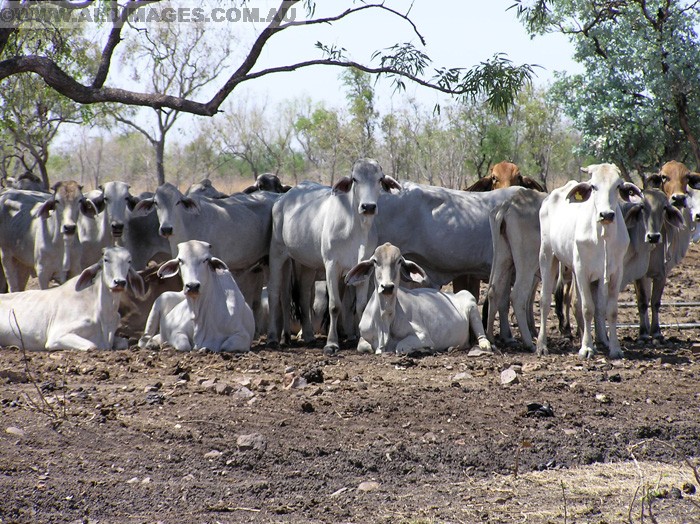 678x501 pixels (287K)